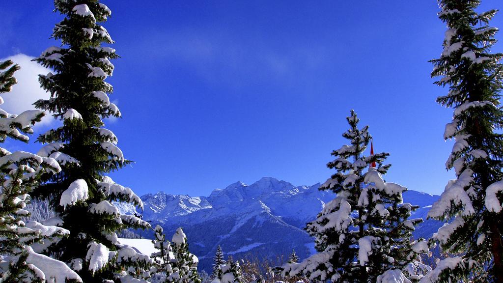 Hotel Montpelier Verbier Luaran gambar